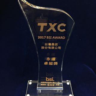 BSI 永續卓越獎 (2017)